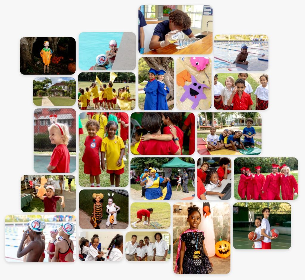 Gallery montage